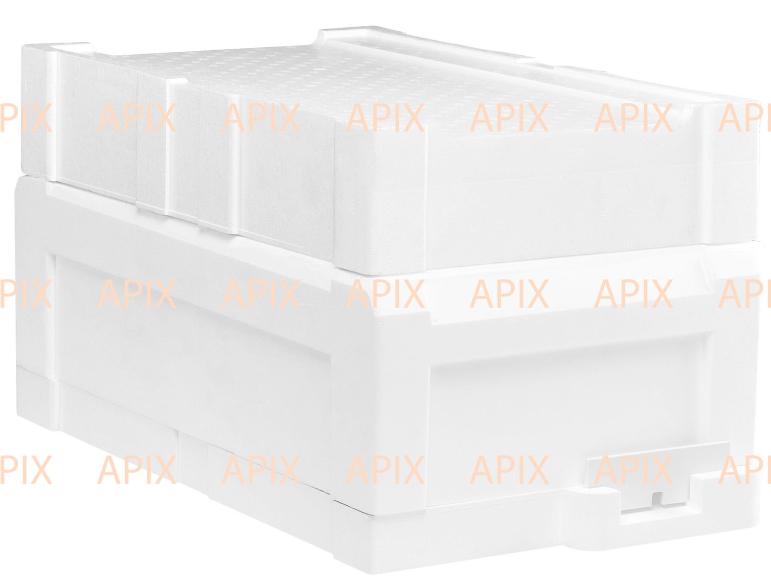 APIX-Bienenstock mit einteiligem Körper für 6 Rahmen 145 mm Basic