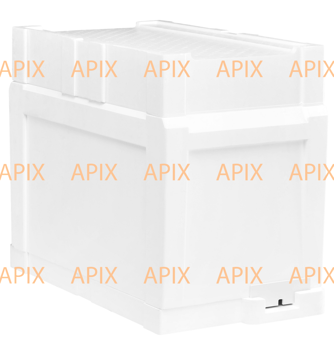 APIX beehive with one-piece body for 6 frames 300 mm basic